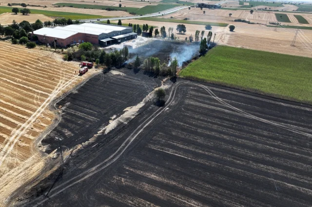 Edirne'de Buğday Tarlasında Çıkan Yangın Hızla Söndürüldü