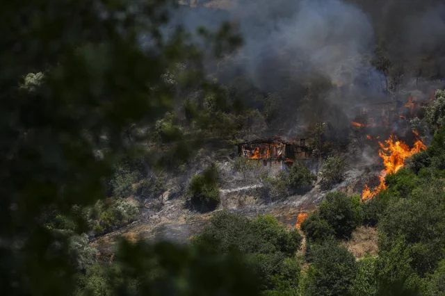 İzmir Ödemiş'teki Orman Yangını İle Mücadele Tüm Hızıyla Sürüyor