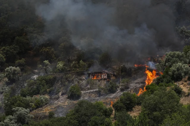 İzmir Ödemiş'teki Orman Yangını İle Mücadele Tüm Hızıyla Sürüyor