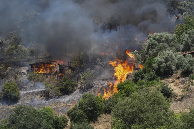 İzmir Ödemiş'teki Orman Yangını İle Mücadele Tüm Hızıyla Sürüyor
