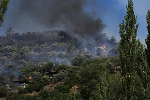 İzmir Ödemiş'teki Orman Yangını İle Mücadele Tüm Hızıyla Sürüyor