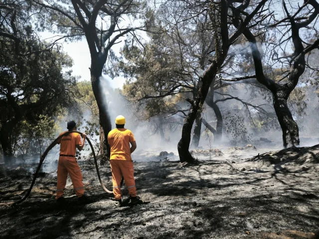 Antalya’da Muratpaşa'daki Orman Yangını Başarıyla Söndürüldü
