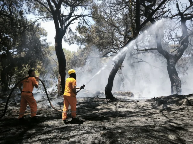 Antalya’da Muratpaşa'daki Orman Yangını Başarıyla Söndürüldü