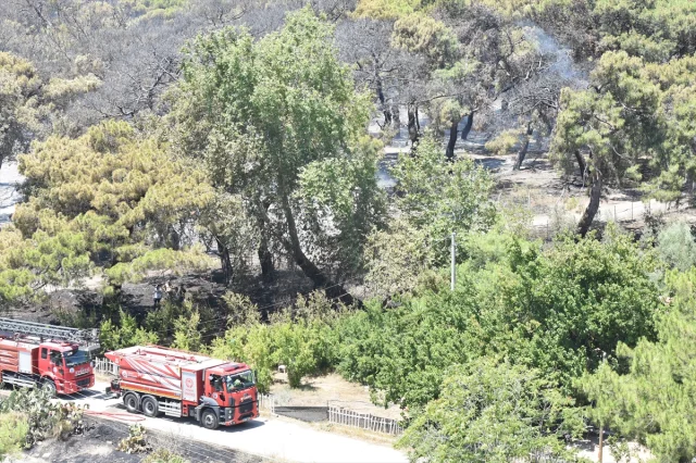 Antalya’da Muratpaşa'daki Orman Yangını Başarıyla Söndürüldü