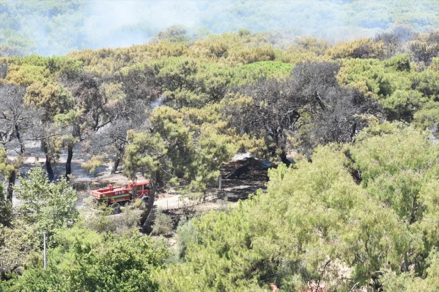 Antalya’da Muratpaşa'daki Orman Yangını Başarıyla Söndürüldü