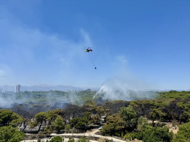 Antalya’da Muratpaşa'daki Orman Yangını Başarıyla Söndürüldü