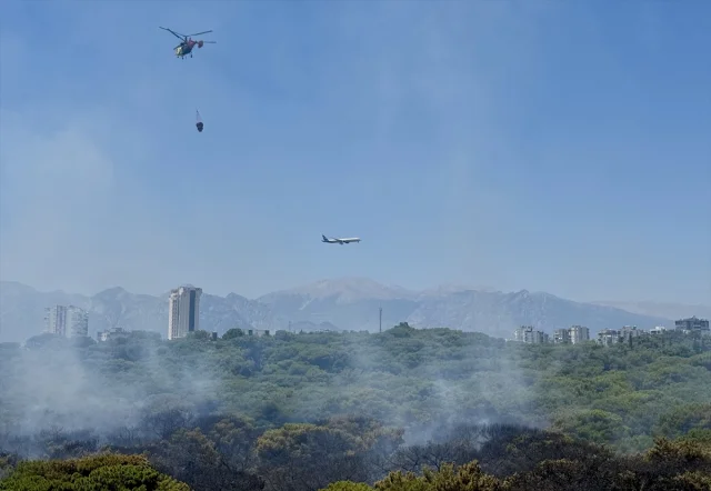 Antalya’da Muratpaşa'daki Orman Yangını Başarıyla Söndürüldü