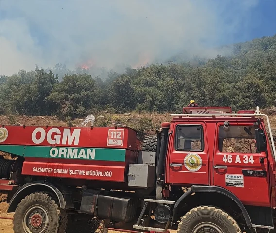 Gaziantep'te Orman Yangını Kontrol Altına Alındı: Ekiplerin...