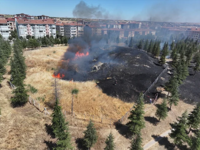 Edirne'de Tarihi Kavgaz Tabya Yakınında Çıkan Yangın Kontrol...