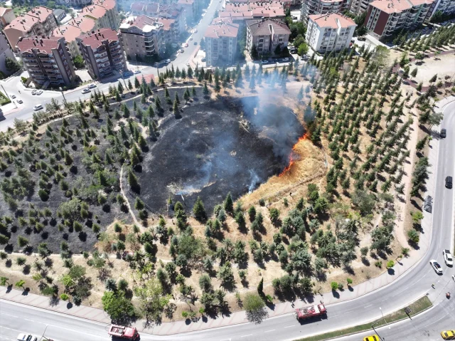 Edirne'de Tarihi Kavgaz Tabya Yakınında Çıkan Yangın Kontrol Altına Alındı