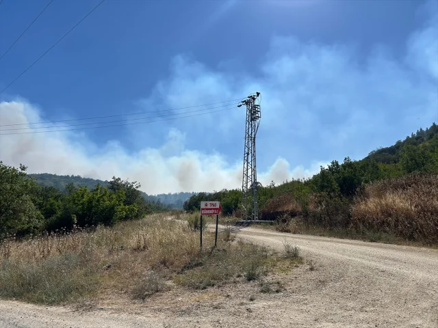 Silivri'de Orman Yangını Kontrol Altına Alınmaya Çalışılıyor