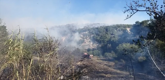 Adana'da Korkutan Yangın: Makilikten Orman Alanına Sıçradı