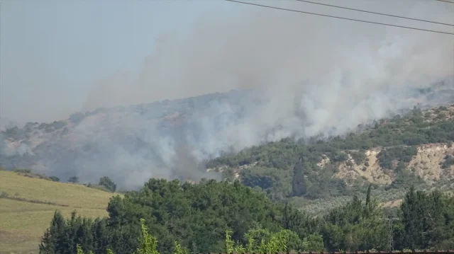 Adana'da Korkutan Yangın: Makilikten Orman Alanına Sıçradı