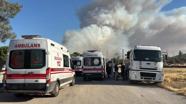 Buca'nın Zafer Mahallesi'nde Orman Yangınına Zorlu Müdahale