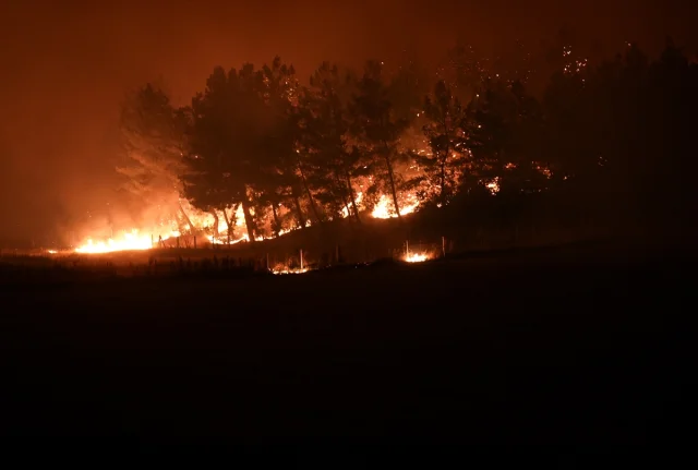 İzmir'de Buca'daki Yangına Müdahale Sürüyor