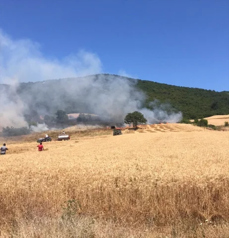 Bursa Yenişehir'de Çıkan Orman Yangını Kontrol Altına Alınma...