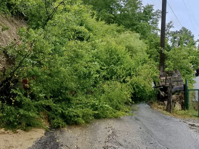 Samsun'da Yoğun Yağış Sonrası Heyelan Tehlikesi Artıyor