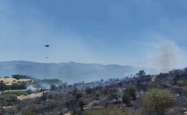 Balıkesir'de Orman Yangını: Mücadele ve Son Durum