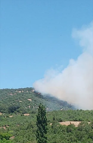 Balıkesir'de Orman Yangını: Mücadele ve Son Durum