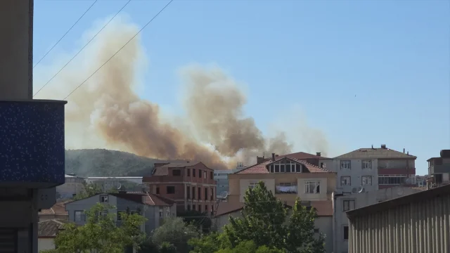 Kocaeli Gebze'de Ağaçlık Alanda Yangın Alarmı