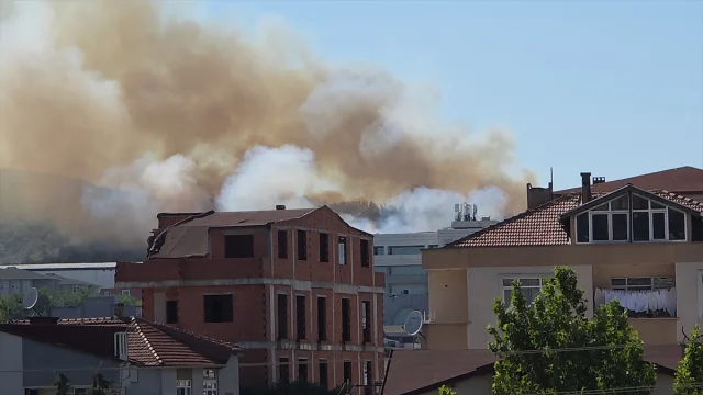 Kocaeli Gebze'de Ağaçlık Alanda Yangın Alarmı
