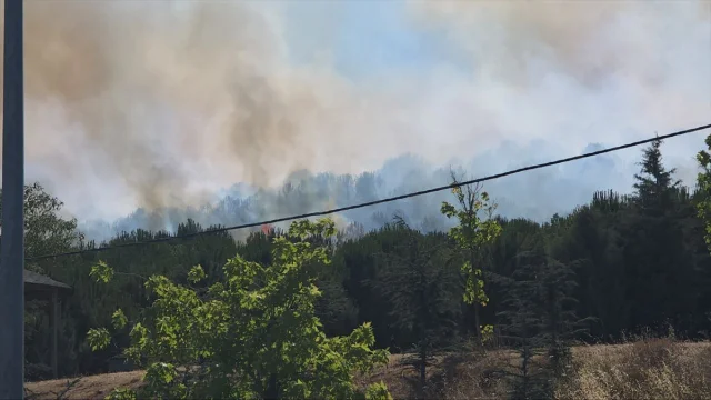 Kocaeli Gebze'de Ağaçlık Alanda Yangın Alarmı