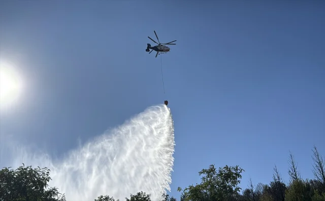 Kocaeli'de Ağaçlık Alanda Çıkan Yangın Hızla Söndürüldü