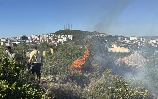 Kocaeli'de Ağaçlık Alanda Çıkan Yangın Hızla Söndürüldü