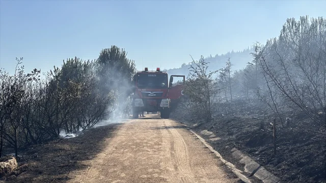 Kocaeli'de Ağaçlık Alanda Çıkan Yangın Hızla Söndürüldü