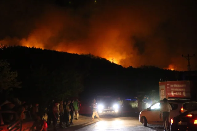 Hatay Dörtyol'da Orman Yangınıyla Mücadele Sürüyor