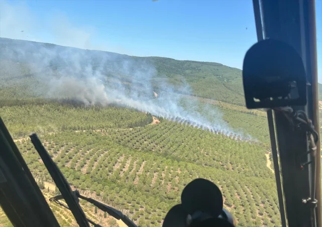 Çanakkale'deki Yangın Ormanları Tehlikeye Attı