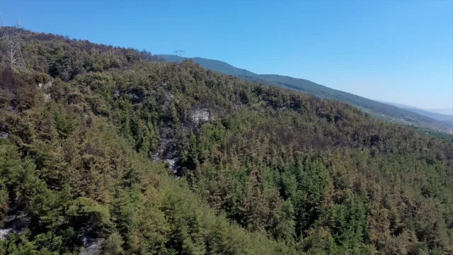 Hatay'daki Yangınla Mücadelede Zorlu Günler