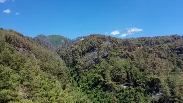 Hatay'daki Yangınla Mücadelede Zorlu Günler