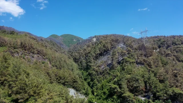 Hatay'daki Yangınla Mücadelede Zorlu Günler