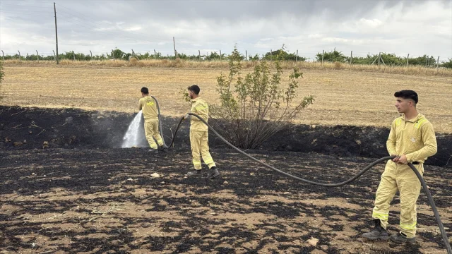 Diyarbakır'da Üç İlçede Çıkan Yangınlar Kontrol Altına Alındı