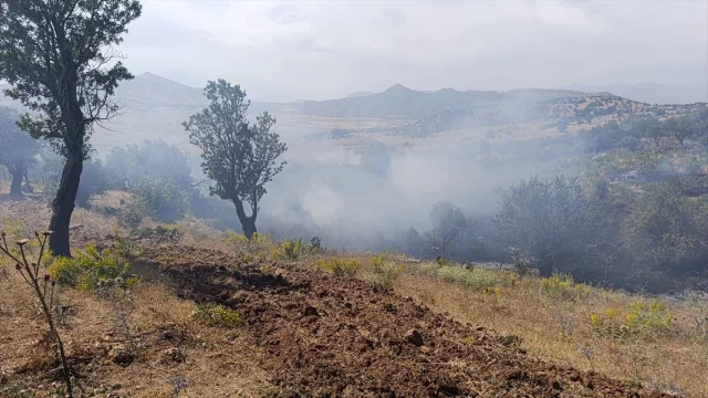 Diyarbakır'da Üç İlçede Çıkan Yangınlar Kontrol Altına Alındı