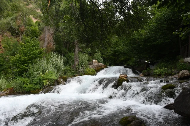 Gümüşhane'deki Tomara Şelalesi Doğaseverlerin Vazgeçilmez Adresi