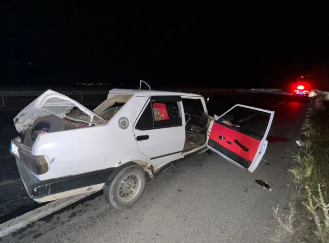 Aydın'da Trafik Kazası: Kontrolden Çıkan Araç Ölüme Yol Açtı