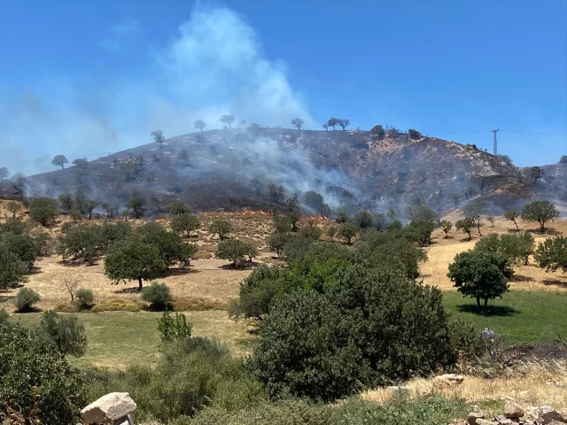 Çanakkale'de Orman Yangını Tehlikesi Yatıştırıldı