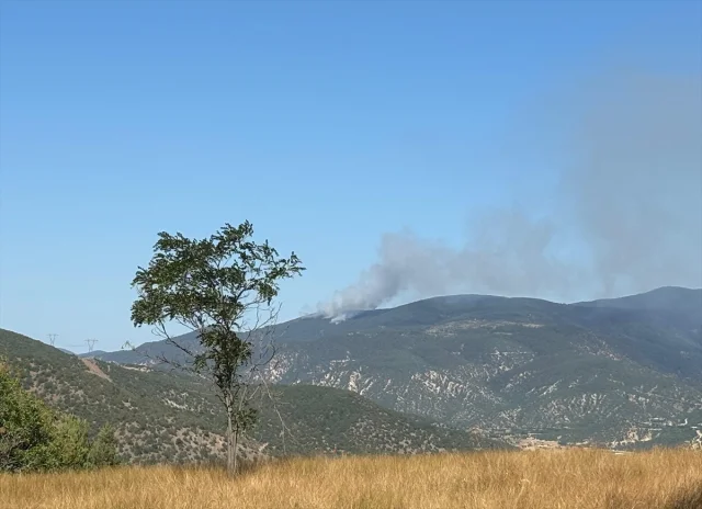 Ilgaz'da Orman Yangınına Hızlı Müdahale