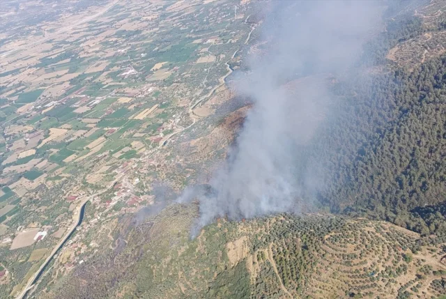 Bozdoğan'da Tarım Arazisinde Çıkan Yangın Güçlükle Kontrol A...