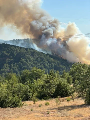 Bolu'nun Göynük İlçesinde Çıkan Orman Yangınına Yoğun Müdaha...