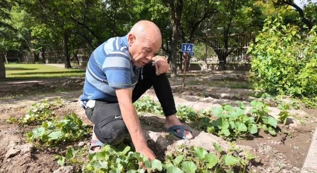 Kayseri'de Huzurevi Sakinlerine Hobi Bahçesi Terapi Gibi