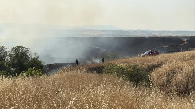 Edirne'de Buğday Tarlasındaki Yangın Hızla Söndürüldü