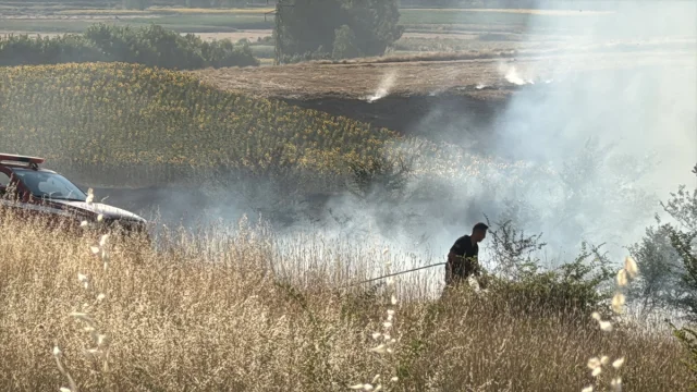 Edirne'de Buğday Tarlasındaki Yangın Hızla Söndürüldü