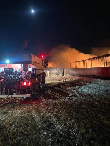 Diyarbakır'da Anız Yangını Büyük Tehlikeye Yol Açtı