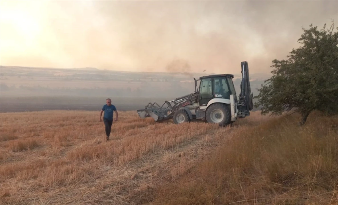 Kırklareli'nde Tarım Arazisinden Ağaçlık Alana Sıçrayan Yangın Kontrol Altına Alındı