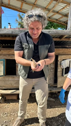 Karabük'te Nadide Bir Kuş Türü Olan Bayağı Balaban Kurtarıldı