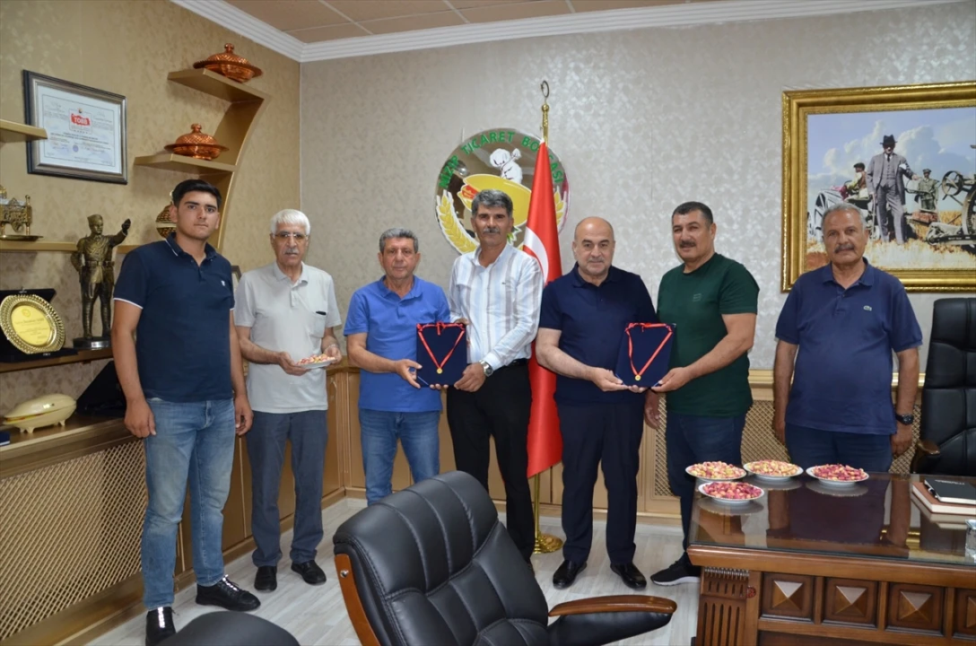 Nizip'te İlk Antep Fıstığı Hasadı Coşkuyla Kutlandı