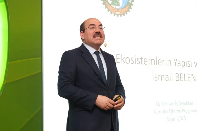 Türkiye'nin Orman Varlığı ve Küresel Mücadeledeki Yeri